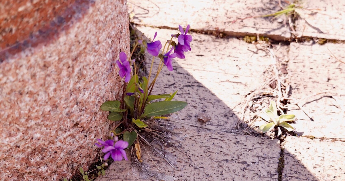 挫折を意味あるものに 挫折から立ち直る方法 人生を幸せにできる考え方 みみこの世界はまあるい 挫折を意味あるものに 挫折から立ち直る方法 人生を幸せにできる考え方 みみこの世界はまあるい